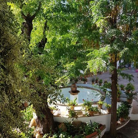 Апартаменти Patio Andaluz Siglo XVI Севілья Екстер'єр фото