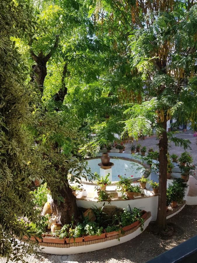 Апартаменти Patio Andaluz Siglo XVI Севілья Екстер'єр фото